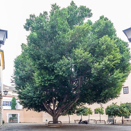 Alohamundi Escuelas Pias Seville Ngoại thất bức ảnh